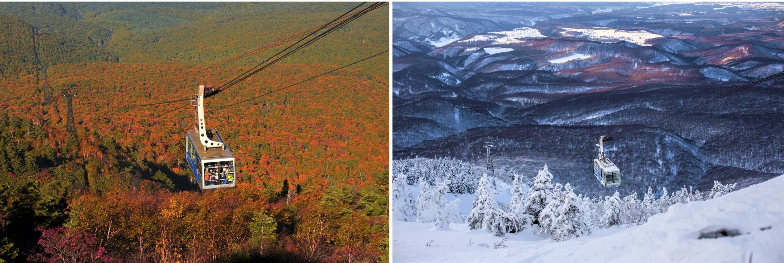 🚠 핫코다 로프웨이 산록역(핫코다 로프웨에 산로쿠에키) 이미지 7